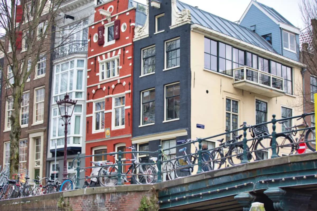 Amsterdam guide: canals, museums and tulips | NCL Tours